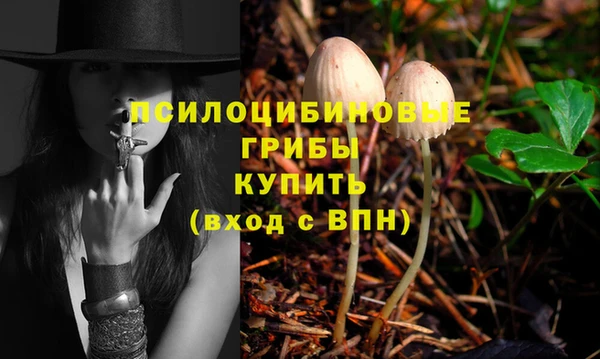 меф Заводоуковск