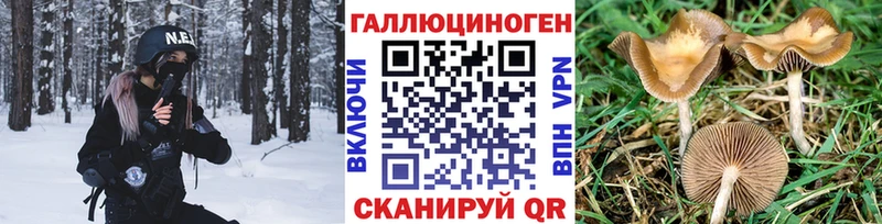 продажа наркотиков  Уяр  shop телеграм  Псилоцибиновые грибы GOLDEN TEACHER 